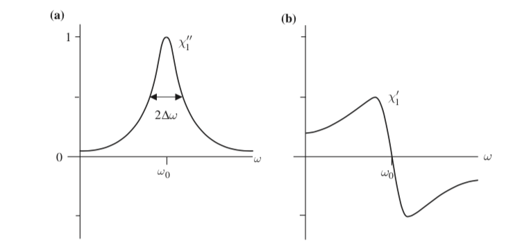Susceptibility of the two level system
