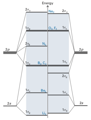 The shell structure of homonuclear diatomic molecules