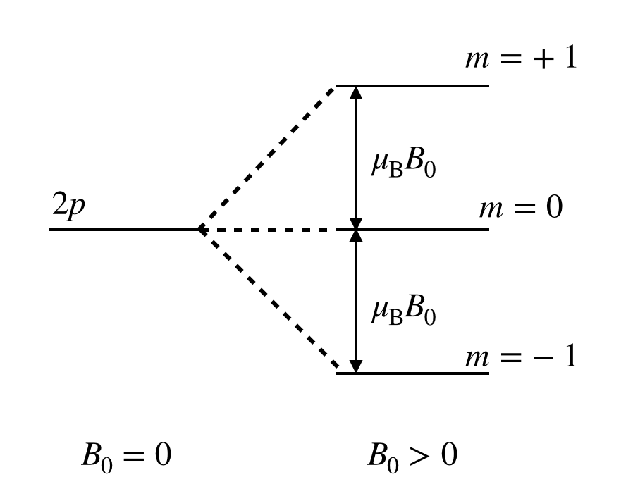 The Zeeman effect in the hydrogen atom